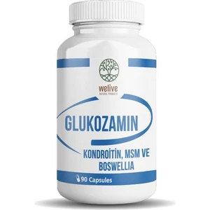Glukozamin Kondroitin Msm ve Boswellıa - 90 Capsul