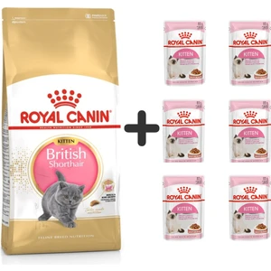 Royal Canin Kitten British Shorthair Yavru Kedi Maması 2 kg + 6 Adet Yaş Mama