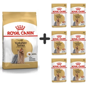 Royal Canin Yorkshire Terrier Köpek Maması 1,5 kg + 6 Adet Yaş Mama