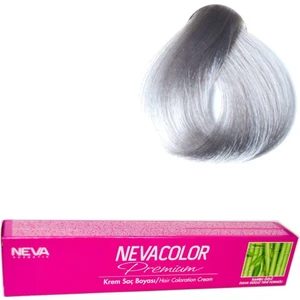 Color Tüp Boya  9.01 Gümüş