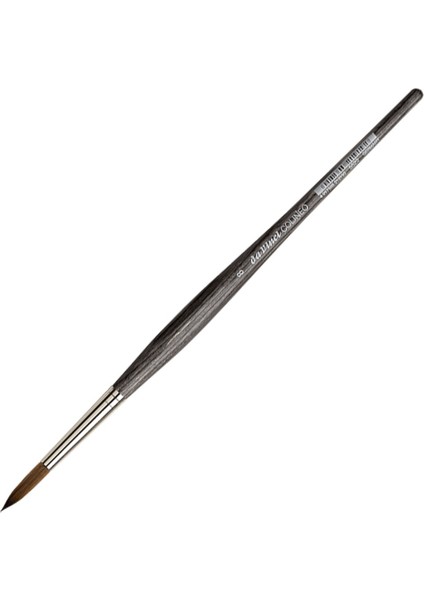 : Colineo Yuvarlak Uçlu Sulu Boya Fırçası : No: 8