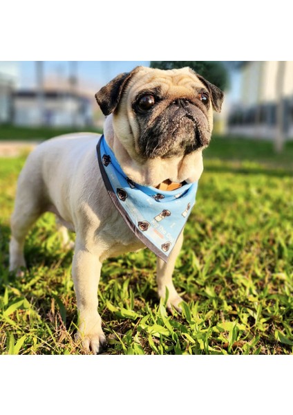 Hugger Köpek Bandana-Pug Love