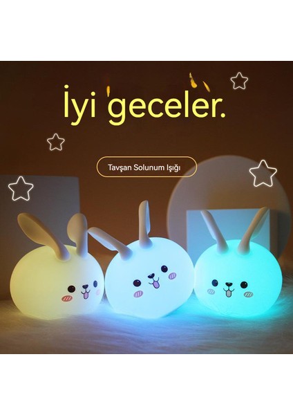 2023 Sevimli Tavşan Nefes Atmosfer Gece Lambası (Yurt Dışından)