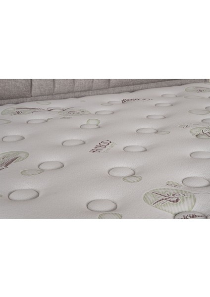 Bamboo Sleepy Ortopedik Yatak (Sadece Yatak)