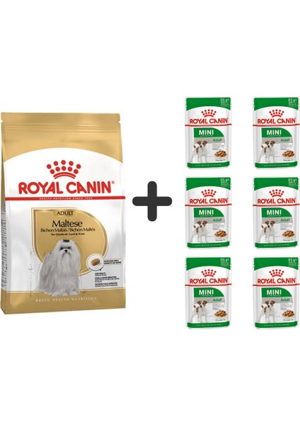 Maltese Bichon Yetişkin Köpek Maması 1,5 kg + 6 Adet Yaş Mama