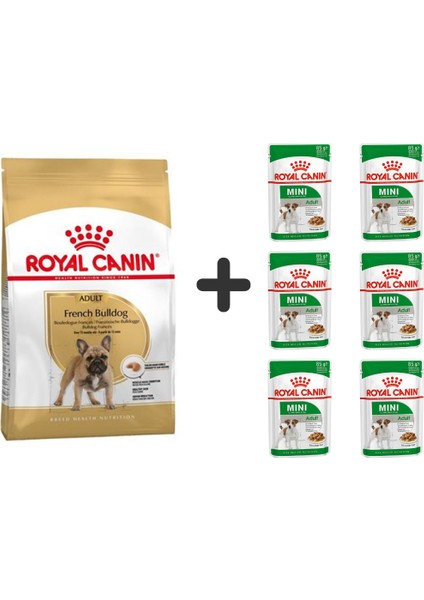 French Bulldog Yetişkin Köpek Maması 3 kg + 6 Adet Yaş Mama