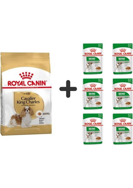 Cavalier King Charles Yetişkin Köpek Maması 3 kg + 6 Adet Yaş Mama