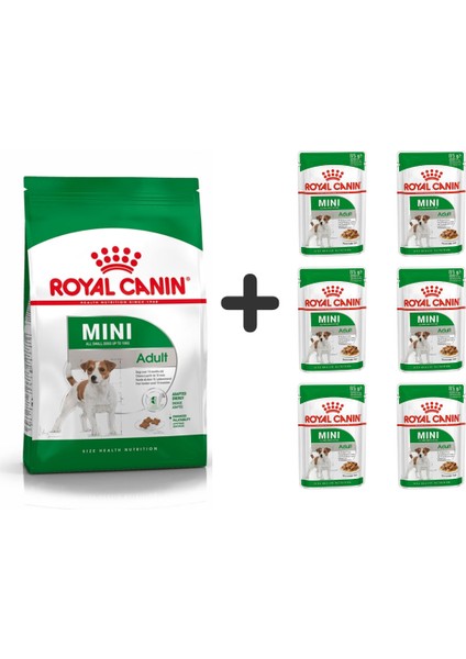 Mini Adult Köpek Maması 4 kg + 6 Adet Yaş Mama