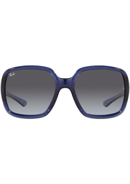 RB4347 65318G 60 Unisex Güneş Gözlüğü