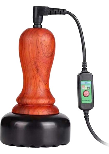 Bianstone Enstrümanı Isı Elektrikli Kazıma (Yurt Dışından)
