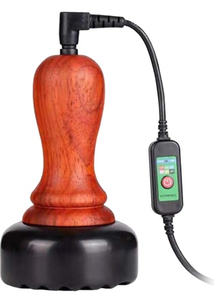 Bianstone Enstrümanı Isı Elektrikli Kazıma (Yurt Dışından)