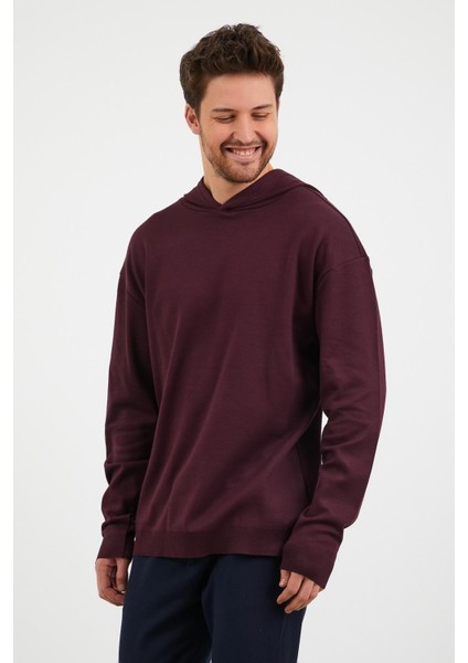 Erkek Comfort Fit Kapüşonlu Düz Sweatshirt Mürdüm