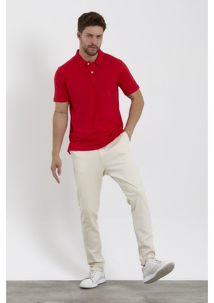 Erkek Basic Polo Yaka Tişört (Regular Fit) Kırmızı