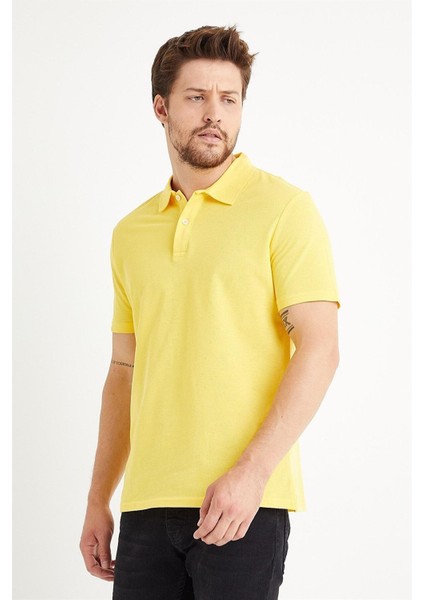 Erkek Basic Polo Yaka Tişört (Regular Fit) Sarı