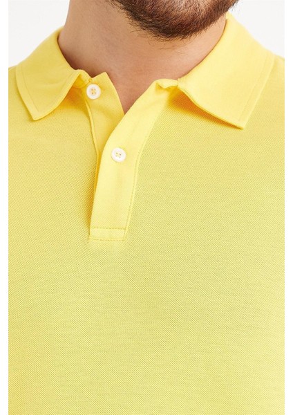 Erkek Basic Polo Yaka Tişört (Regular Fit) Sarı modelleri