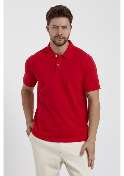 Erkek Basic Polo Yaka Tişört (Regular Fit) Kırmızı