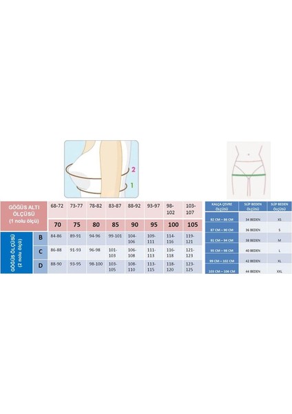 5685 Kadın Dantelli Süngerli Büyük Beden Toparlayıcı Sütyen-Bordo10 modelleri