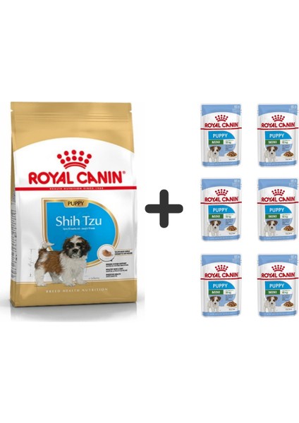 Shih Tzu Puppy Yavru Köpek Maması 1.5 kg + 6 Adet Yaş Mama
