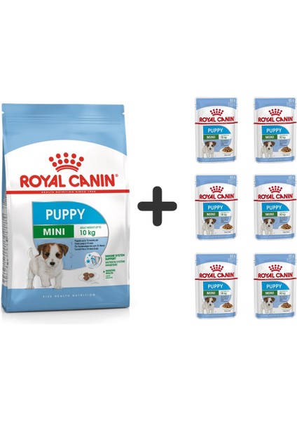 Mini Puppy Yavru Köpek Maması 2 kg + 6 Adet Yaş Mama