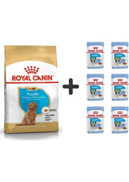 Poodle Puppy Köpek Maması 3 kg + 6 Adet Yaş Mama