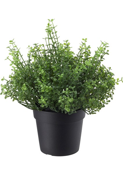 Yapay Bitki, Arapsaçı Çiçeği, 9 Cm, Fejka