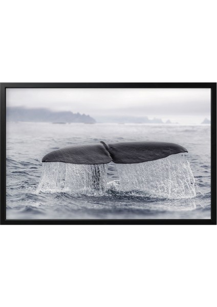 Çerçeveli Resim, Çok Renkli, 118X78 Cm, Björksta