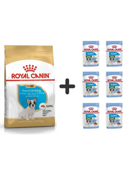 French Bulldog Yavru Köpek Maması 3 kg + 6 Adet Yaş Mama