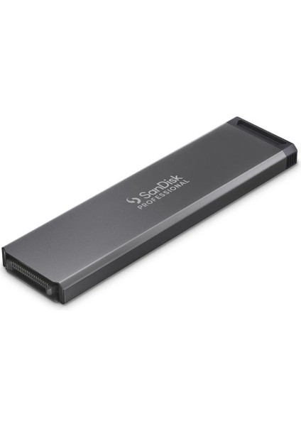 Professional PRO-BLADE konnektör 1tb SSD Kartuş SDPM1NS-001T-GBAND