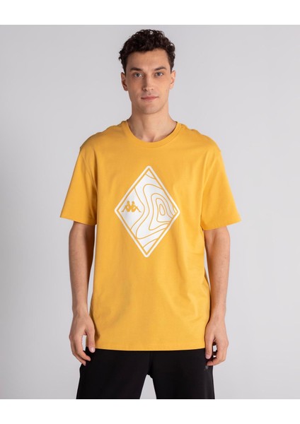 Nıgraph Tk Sarı Erkek T-Shirt 341M8SW-Q34 fiyatları