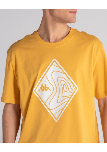 Nıgraph Tk Sarı Erkek T-Shirt 341M8SW-Q34 fırsatları