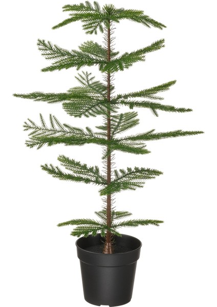 Yapay Bitki, Norfolk Adası Çamı, 15 Cm, Fejka