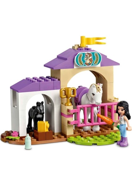 LEGO Friends At Eğitmeni ve At Eğitimi 41441