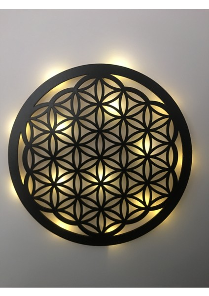 Yaşam Çiçeği Dekoratif LED Duvar Süsü Pilli Peri LED 30CM Mdf