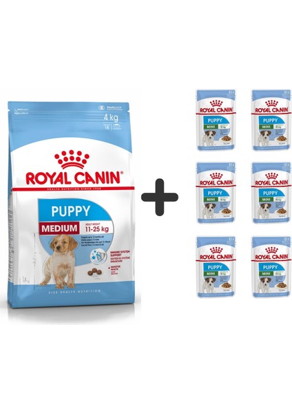 Orta Irk Yavru Kuru Köpek Maması 4 kg + 6 Adet Yaş Mama