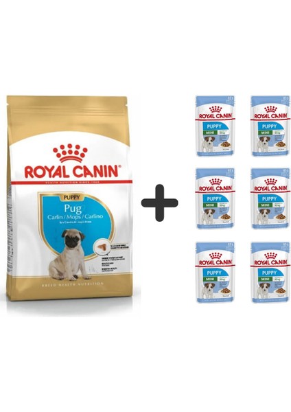 Pug Junior Yavru Köpek Maması 1,5 kg + 6 Adet Yaş Mama