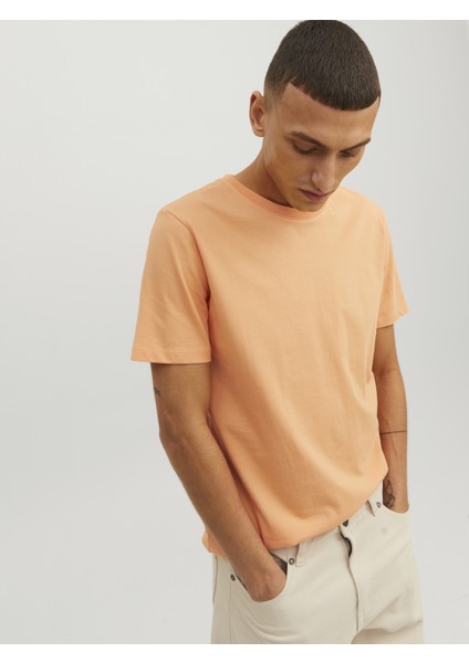 Jack & Jones Bisiklet Yaka Basic Tişört-Organic