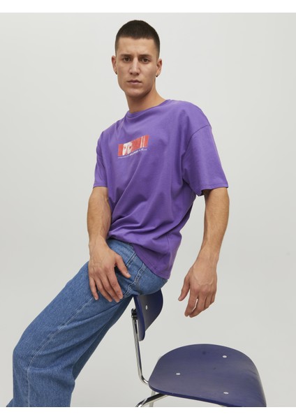 Jormasterpıece Tee Ss Crew Neck Tg Mor Erkek T-Shirt 12232259-Deep fırsatları