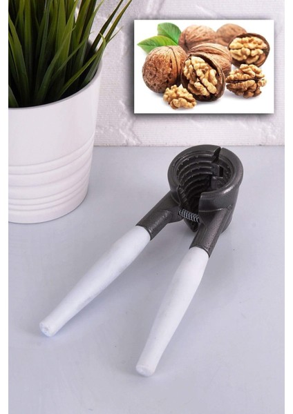 Ceviz Kıracağı NewStar fiyatları