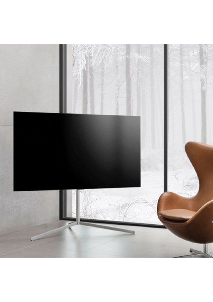 OLED Galeri Standı TV Standı