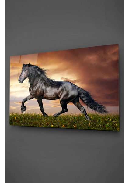 Kırlarda Siyah At Cam Tablo