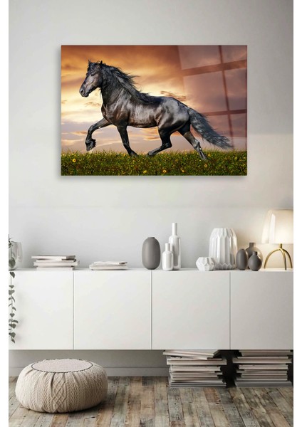 Kırlarda Siyah At Cam Tablo fiyatları