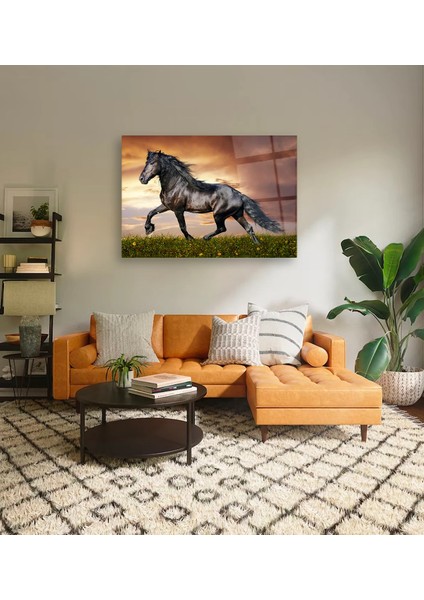 Kırlarda Siyah At Cam Tablo modelleri