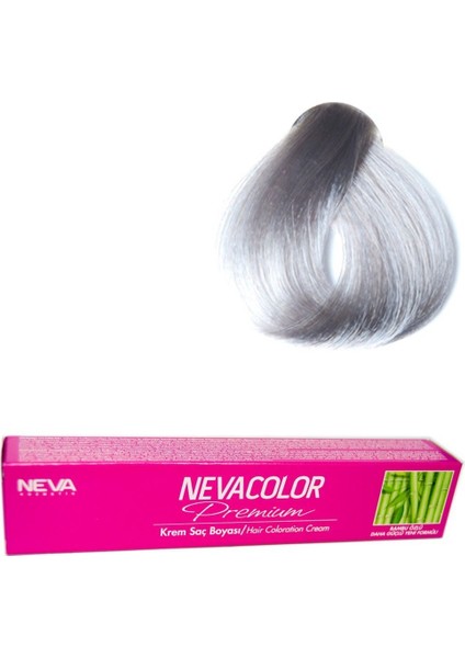 Color Tüp Boya 9.01 Gümüş