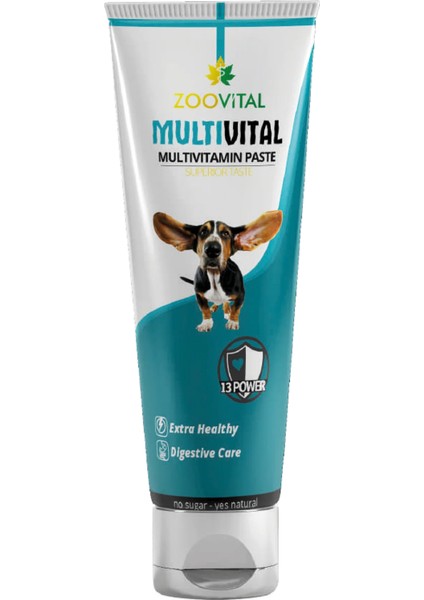 Multivital Köpek Macunu 100GR