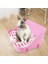 Çekmeci Ile Tavşan Çöpü Gelincik Tavşan Chinchilla Pembe Için Lazımlık (Yurt Dışından) 2