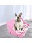 Çekmeci Ile Tavşan Çöpü Gelincik Tavşan Chinchilla Pembe Için Lazımlık (Yurt Dışından) 4