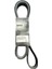 Gergi Kasnak Kayışı Scanıa 1376317 (8 Pk 2140) Bando 1