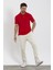 Erkek Basic Polo Yaka Tişört (Regular Fit) Kırmızı 4