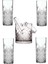 Timeless Rakı Bardağı Buz Kovası Seti 6 Parça Timeless-Set-Buz 1
