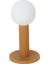 5 Adet Lastik Kış Sürüş Menzili Ev Pratiği Golf Tees 60MM Paketi (Yurt Dışından) 2